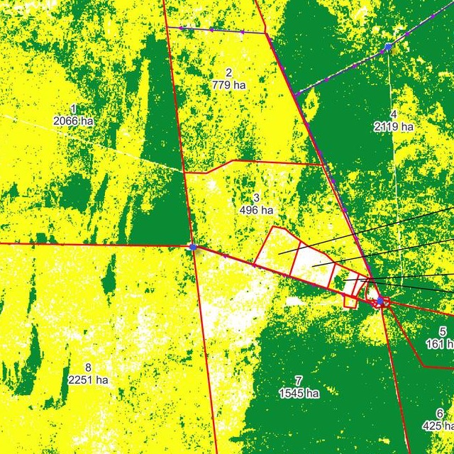 Satellite classification of the estancia: green closed shrub steppe, yellow open shrub-grass steppe, white low cover, with current paddock boundaries.